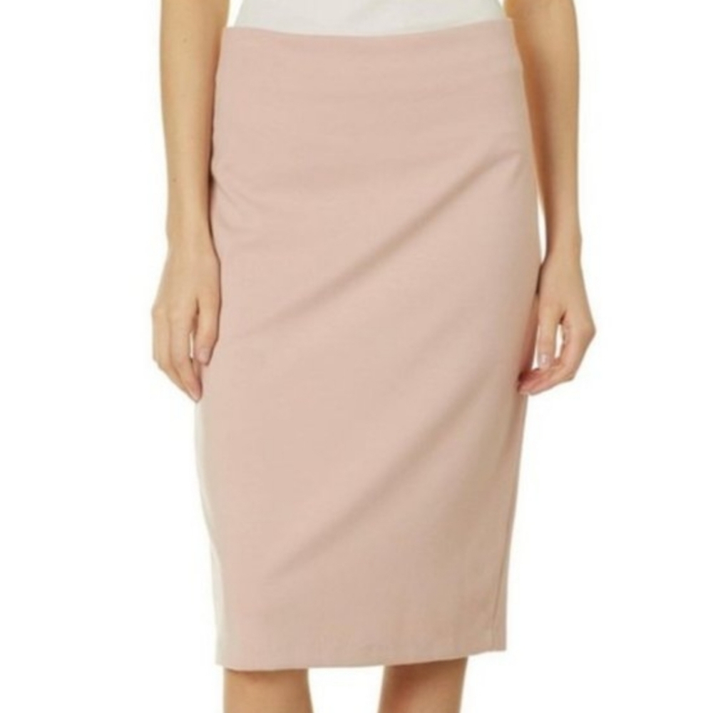 Philosophy Blush Pencil skirt